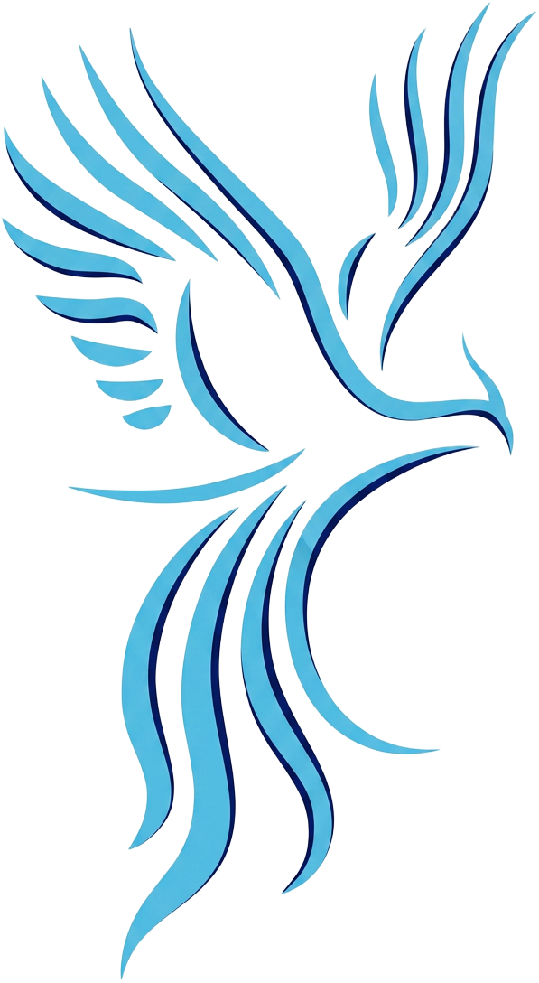 Phoenix Medical Technologies Brasil